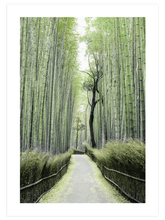 Bambu Yolu - Art Print